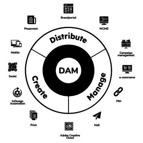 Digital Asset Management, FOMO, MEX
